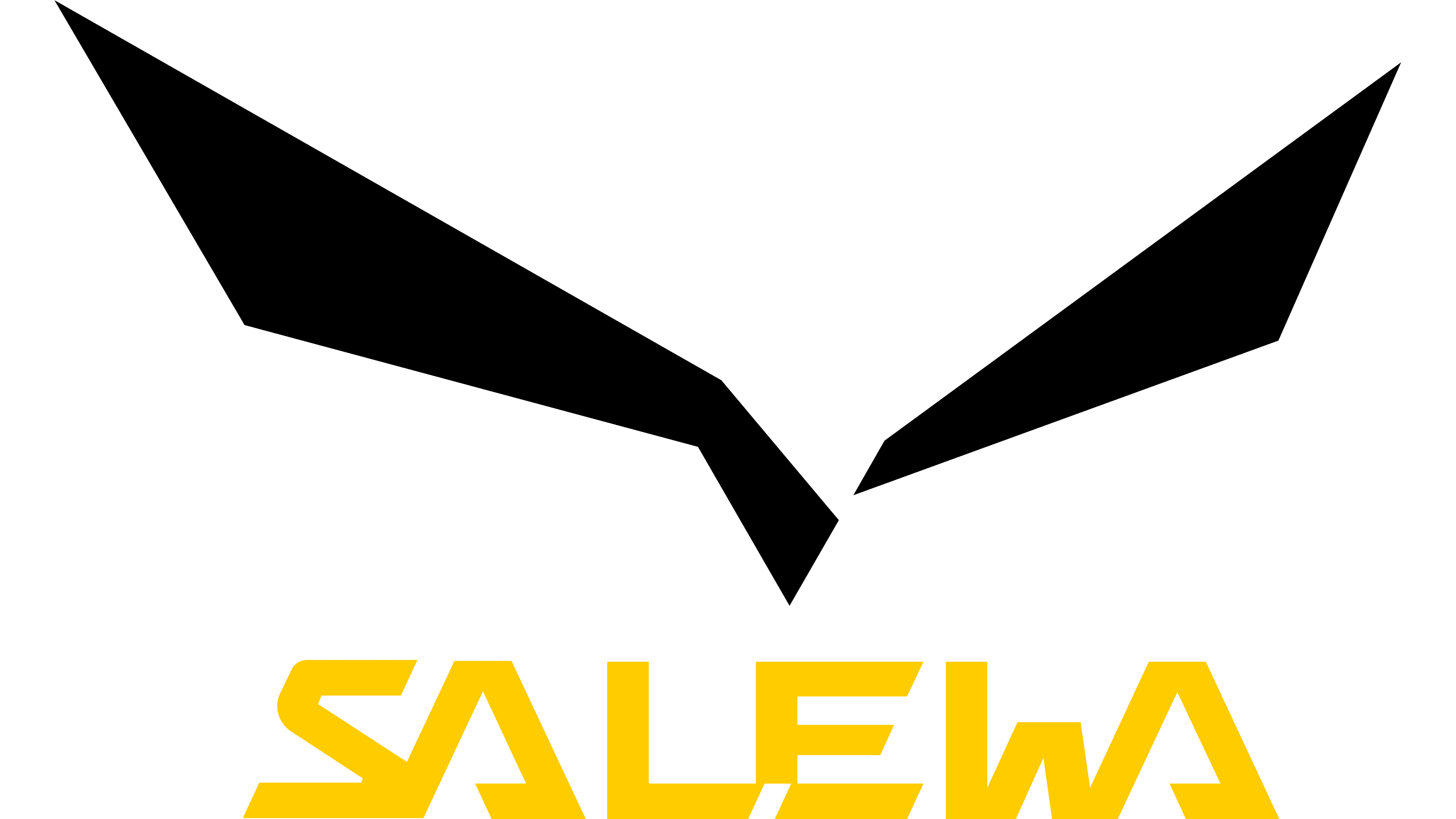 Salewa Logo ?>